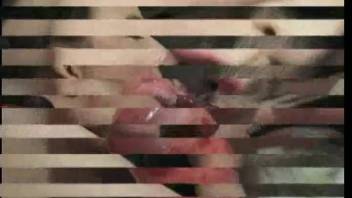 Canine female intercourse