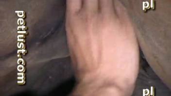 Guy gently penetrates his cute pony doggy-style