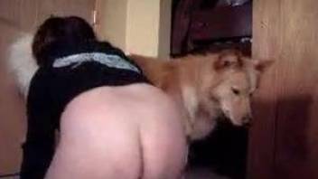 Wife with big ass stimulates our lovely doggy