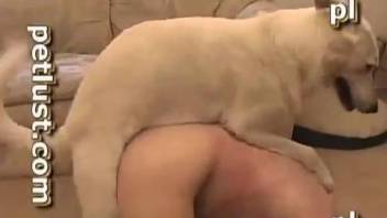 Lustful white doggy adores oral bestiality with an owner