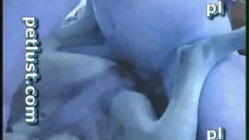 Guy with a massive erection skewered his canine in the missionary position