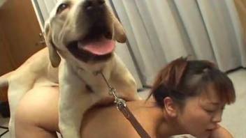 Asian plays kinky with a tasty dog dick in her mouth