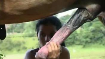 Small-tit Latina sucks her stallion and fucks in doggy style