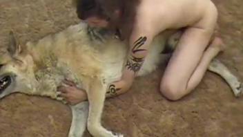 Small doggy with nice dick gets fucked by tattooed zoophile