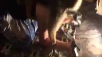 Lively ass chick being banged by a hound in doggy position