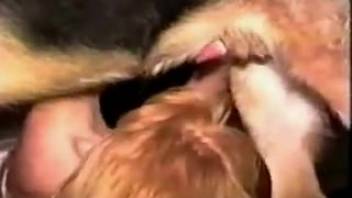 Red-haired mature whore screwing canines in darkness