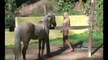 Long-haired blonde was in mood for outdoor sex with horse