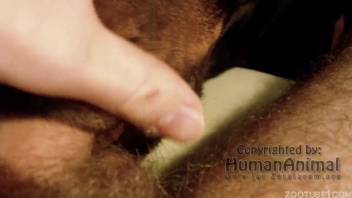 Adorable lust-driven babe blows a cock in close-up shot