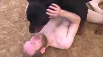 Black dog suits slim amateur man with deep anal sex