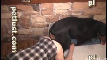 Furious ebony canine penetrates its mistress in a butt-to-butt position