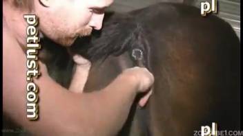 Rancher bangs a hot chocolate pony from behind