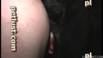 Man engaging in anal intercourse with a dog