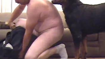 Aroused gay man feels entire dog dick into his butt hole