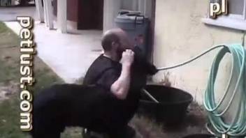 Playful black doggy hardly screwed perverted owner from behind