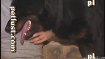 Steamy and intense anal zoophilia featuring a pup and a nasty proprietor