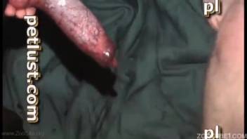 Perverted animal lover dude gives a nice blowjob to a black canine