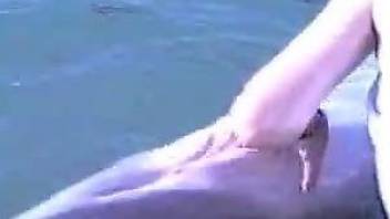 Dolphin gets sexual pleasure because of woman's tender touches
