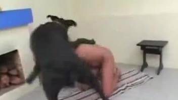 Latina goes on all fours to get fucked by a horny dog