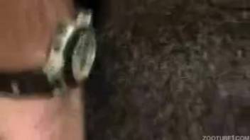 Guy inserts entire dick into hairy beast's moist pussy