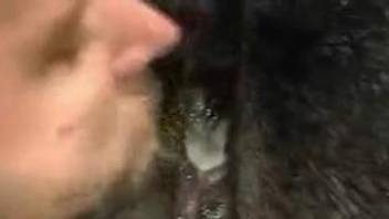 Midnight zoo cam sex with a dog for a horny gay lad