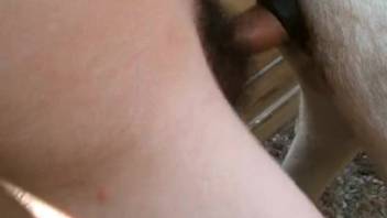 Guy with bushy dick thrusts his shaft into the pony's narrow rear opening