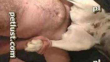 Dude drilling a dog's tight hole with his mega-cock