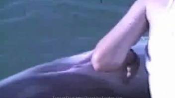 Simply sliding my fingers into the dolphin's snug opening by the pool