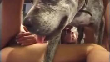 Three-way romp with a well-endowed dude and his promiscuous bitch