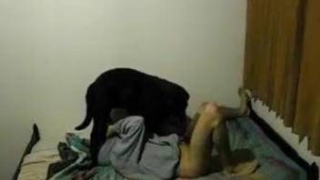 Man in the hood gets it on with male dog in bed