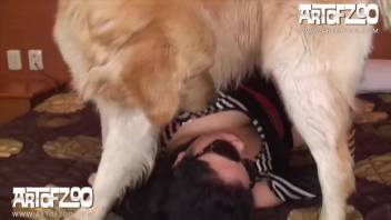 Dog Bangs Girl
