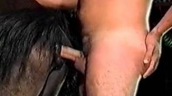 Man ass fucks furry horse and cums on its tail