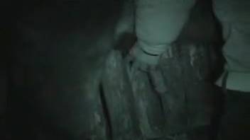 Insanely wild rancher attempts to bang a horse under the cover of darkness