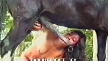 Wavy-haired babe gets fucked by a massive-cocked stallion in the open air