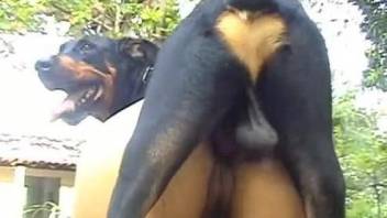 Big ass Latina woman rides dog's dick like a whore