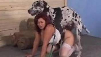 Big ass wife sure loves the dog in her tight pussy