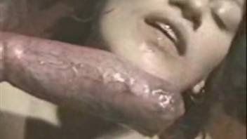 Wavy-haired vintage mom shares canine cock with her fair-haired girlfriend