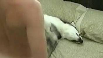 Dude with a perky butt happily fucking a kinky dog