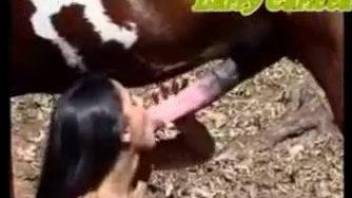 Latina chick jerking this horse's dick outdoors, it's awesome