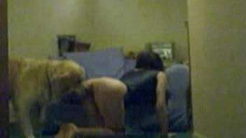 Furry dog ass fucks naked woman on live cam