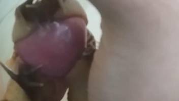 man puts a snail over his dick when jerking off