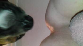Intense rectal pounding with a highly perverted beast