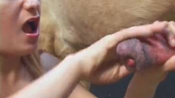 Voluptuous shemale experiences enormous equine penis in her rear entrance
