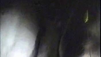 Guy playfully fingering this mare's tasty vagina