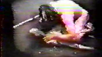 Vintage VHS beast sex tape - old-school low-quality animal intercourse