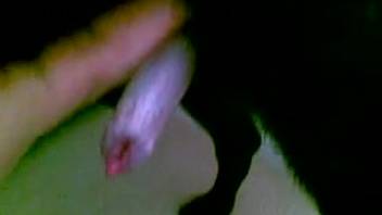 Man enjoys masturbating the canine in wild adult bestiality clips