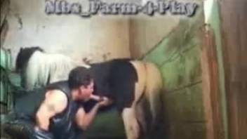 Female oral sex with equine
