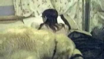 Fluffy canine thrusts into lady's vagina during steamy encounters
