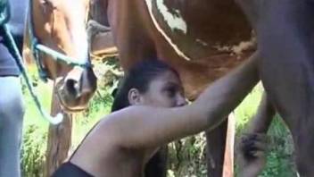 Aroused babe loves sucking the horse cock
