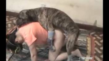 Intense vaginal pounding with a canine for the wicked vixen