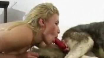 Bitches love posing when throating the dog penis